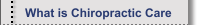What is Chiropractic Care