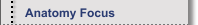 Anatomy Focus